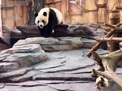 -泉州海丝野生动物世界