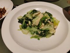 -老吉堂上海本帮菜(望京万象汇店)