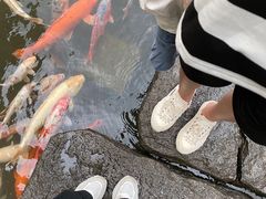 -广州花园酒店