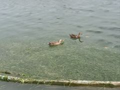 -南宁南湖公园