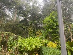 -中国科学院西双版纳热带植物园