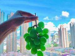 -油麻地果栏