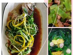 -田螺阿姨自营月嫂·育儿嫂(高新店)