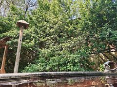 -仁爱团泊湖温泉中心