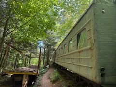 -五营红松林海景区