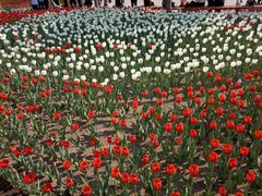 -长春公园(普阳街道)