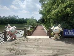 -上海海湾国家森林公园