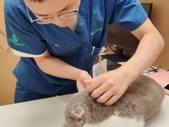 -瑞派康怡24h宠物医院·犬猫医疗中心·微创绝育(瑞景分院)