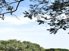 -海珠湖公园