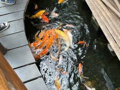 -上海大自然野生昆虫馆(东方明珠·爬宠昆虫探索中心)