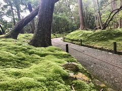-西芳寺(苔寺)