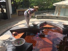 玫瑰池-碧水湾温泉