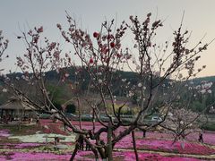 -棒棰岛宾馆景区