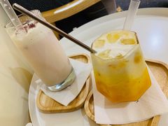 -滚猫咖啡·猫咖·猫友好撸猫(未来城店)