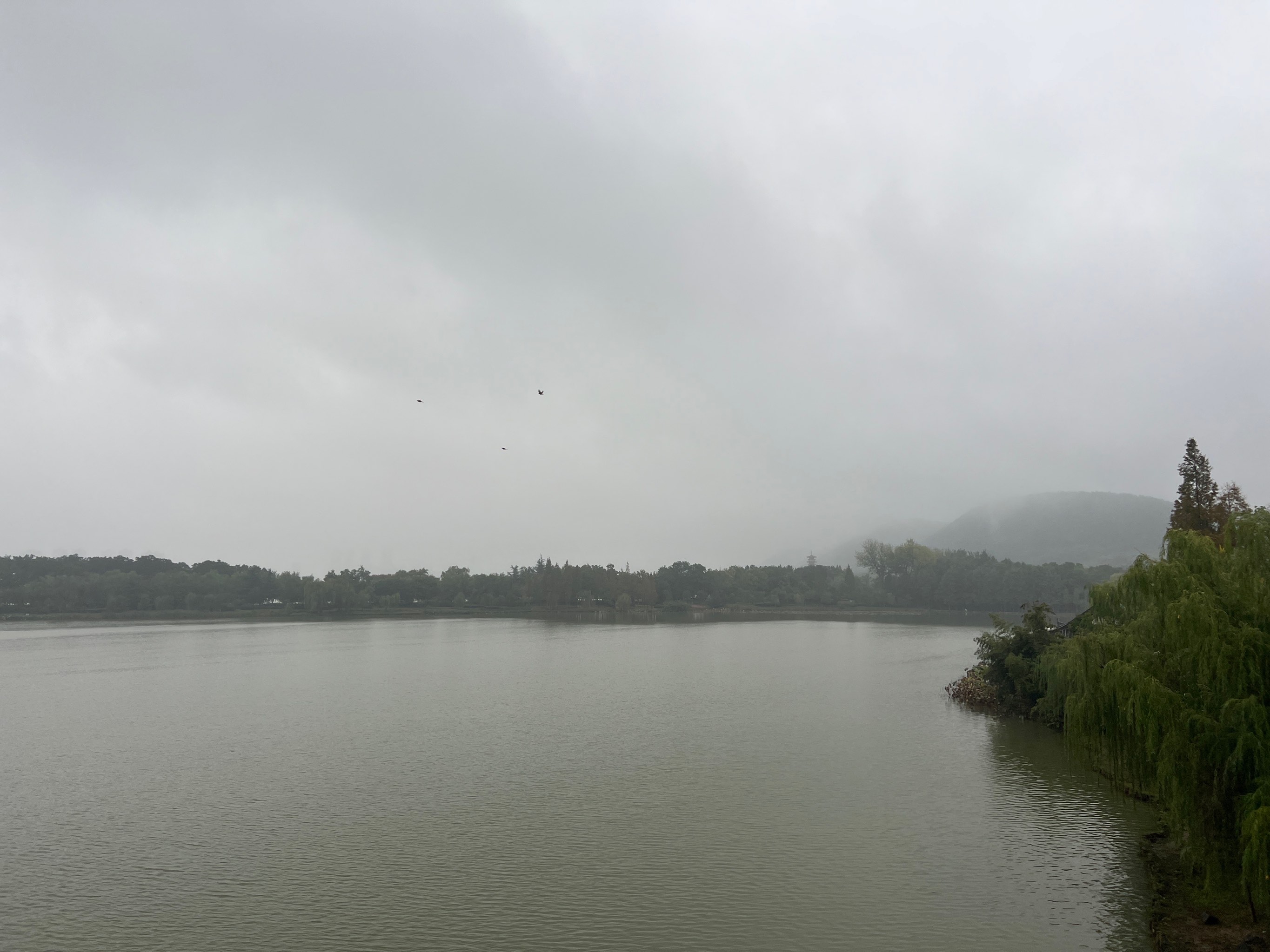 雨晴龙湖图片