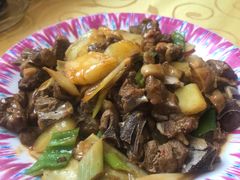 -新疆巴州金丝特餐厅(大钟寺店)