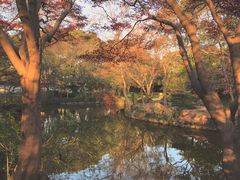 -秋霞圃