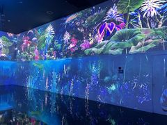 -中国湿地博物馆