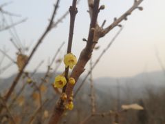 -封龙山风景区