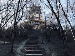 -龙沙公园