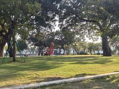 -洲头咀公园