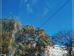 -东方之珠海鲜酒楼(南开店)