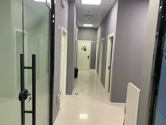 -福州肆爪动物医院