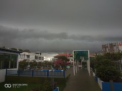 -马大胡子清真西北菜