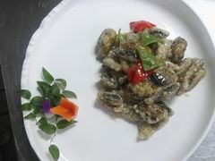 -席家花园(巨鹿花园店)