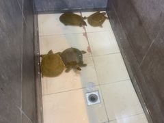 -鄱阳湖·江西小炒·瓦罐煨汤(五道口店)