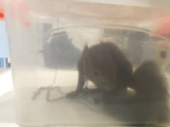 -雨林宠物医院 非犬猫异宠专科