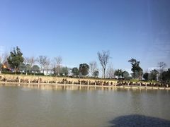 -长兴太湖图影湿地文化园