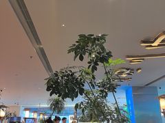 -桂满陇·蟹黄小笼汤包(巴黎春天浦建店)