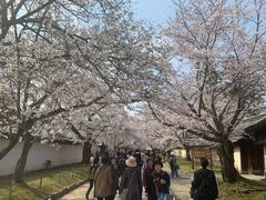 -醍醐寺