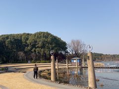 -昆山城市生态森林公园