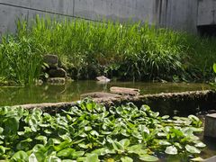 -中国湿地博物馆