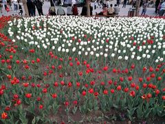 -长春公园(普阳街道)