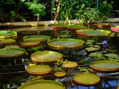 -国家植物园南园