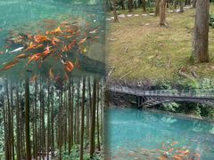-雁荡山大龙湫景区