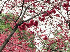 -乌山风景区