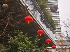 -成都世纪城假日酒店-西楼