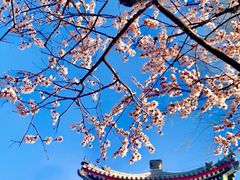 -颐和园