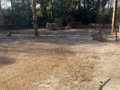 -上海野生动物园老虎餐厅