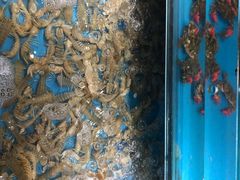 -加尔森烤肉海鲜·火锅烧烤自助