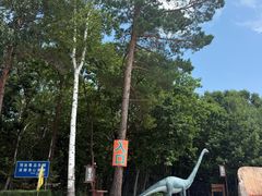 -茅兰沟国家森林公园