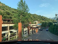 -Local泰莲庭(虹鳟鱼店)