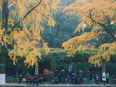 -四川大学(华西校区)