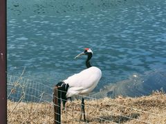 -沈阳森林动物园