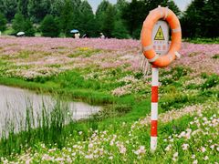 -洋湖国家湿地公园