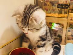 -凯德广场(武胜路店)